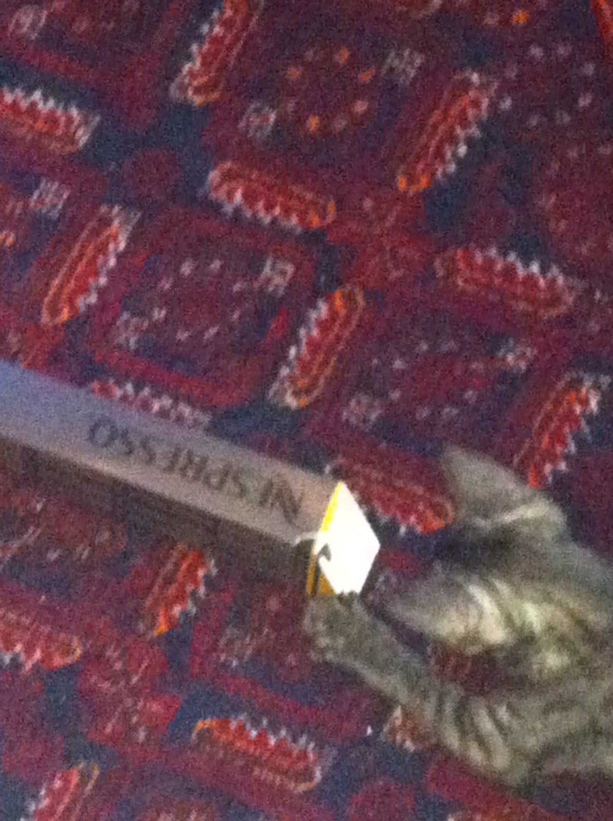 Katze_Nespressoschachtel