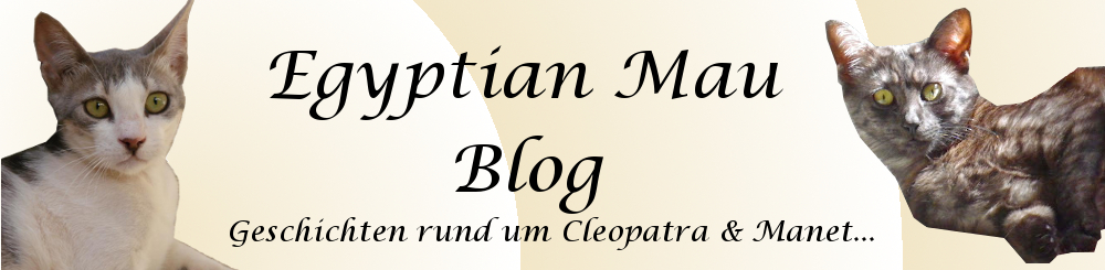 Egyptian Mau Blog