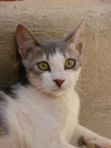 seite_ kinderstube_manet_foto1