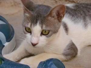 seite_ kinderstube_manet_foto2