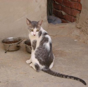 seite_ kinderstube_manet_foto3