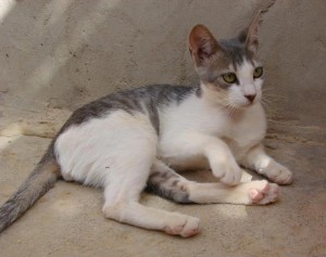 seite_ kinderstube_manet_foto4