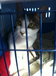 seite_ kinderstube_manet_foto5