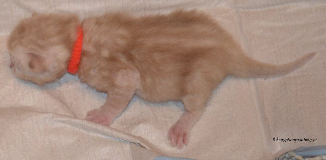 Kinderstube Matt_Foto 1