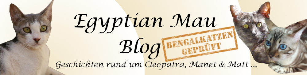 Egyptian Mau Blog