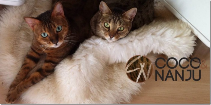 Coco_Nanju0